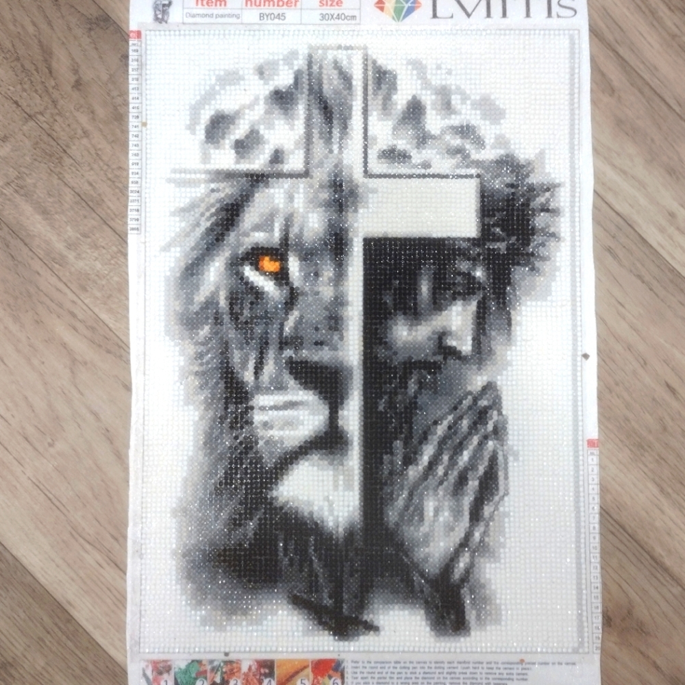 Brilliant Diamond Painting With Gloss Finish